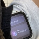 남원읍-109 | 제주 좋아 인간의 겨울 제주도 여행