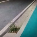 정희축산 이미지