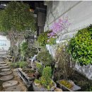 돌쇠본가 이미지