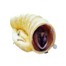 옐로우 터널 이미지