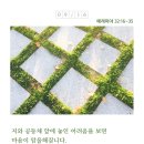 [생명의 삶 Q.T] 2020년 9월 16일(수) 인천경찰경목실장 이세연목사님 이미지