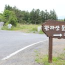 부엔까미노 이미지