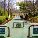 서울나들공원 화장실 | 서울 데이트 장소 추천 중랑천 응봉 나들 공원 용비 쉼터 튤립 실시간