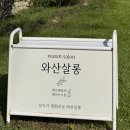 와산살롱