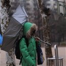 우산길 이미지