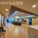 하이파이브요양원