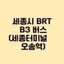 세종고속시외버스터미널BRT건너편 | 세종시 BRT B3 버스 (세종터미널 ↔ 오송역)