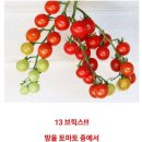 반주 이미지