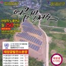 경원 태양광발전소 이미지