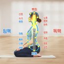 소호 그리고 가야_못다한 이야기_02 생존수행 이미지