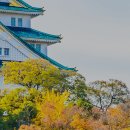 하나글로벌트레이드 이미지