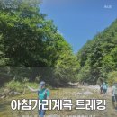 대흥새마을2교 | 여름 계곡 트레킹 끝판왕! 아침가리계곡(아침가리골) 택시 팁, 준비물, 주의사항 총정리