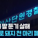 남성축사 이미지