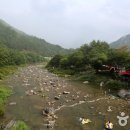 경춘매점 티스토리