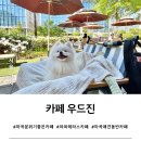 안성빌딩B동 | [서울 강서] 마곡 힐링 테라스카페 우드진 애견동반 후기(n차 방문)