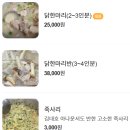 온닭한마리