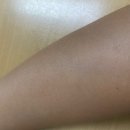 나경빌딩 | [대전 서구] 드블랑왁싱 대전둔산점 / 대전왁싱 둔산동왁싱 추천 팔전체 왁싱 나경선생님 후기