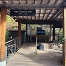 파란나무유치원 | 곤지암 화담숲 단풍, 현재 얼마나 물들었을까? | 10월말 화담숲 실시간 단풍현황 후기