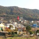 충남 보령 대천 최고의 전원주택부지 매매합니다(가격수정) 이미지