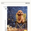 몽벨로 펫 케어센터 이미지