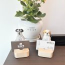 힐더독 | [대구] 달서구 이곡동 강아지 유치원.놀이방, 힐더독 케어 센터