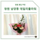 꽃무지풀무지유치원 | 창원 남양동 꽃집 | 데일리 플라워