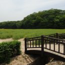 월성동서 이미지