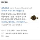 무창포 수산물시장 이미지