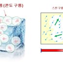 스핀