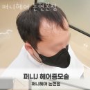 퍼니헤어 이미지