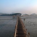순백감성 한국경제