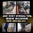 개운인력 네이버블로그