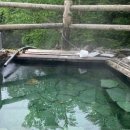 동부렌트카 이미지