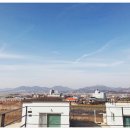 신양조경 이미지