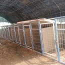 성업목장 이미지