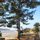 한국자격인증교육원 - 서초구 서운로 13 | 한국자격인증교육원