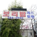 양동곰장어