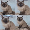 인동28길-8 이미지