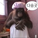빌리브 | [가성비 본식 DVD] 빌리브폴 계약 후기