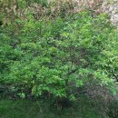 성재(惺齋) 이미지