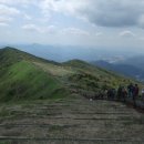 중2동-28 이미지