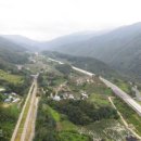 단양죽령사과 이미지