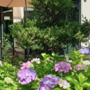 카페쿠시 이미지