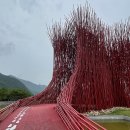 영월 젊은달와이파크(미술관)-동강 붉은 메밀꽃 축제 힐링여행 2023.10.5 이미지