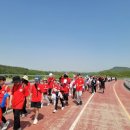 지성태권도 3관 이미지