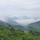 화개카센타