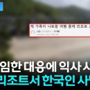 바다수영은 항상 조심요 이미지