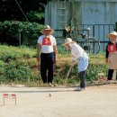 서면 당림2리 이미지