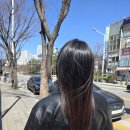 아르디 | [안산미용실] 새로운 차원의 클리닉! 안산서울미장원 고잔점 아르디 클리닉 후기
