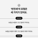 복덕빵 이미지